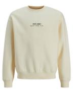 Jack & Jones Sweat 12263290