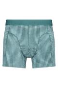 America Today Boxershort alex