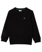 Lacoste Sweat sj5284-43