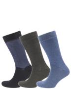 Campbell Classic sokken 3-pack ruit