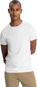 Dstrezzed Bronson 2 pack round neck tee bamboo blend