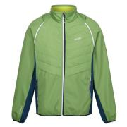 Regatta Heren steren ii softshell hybride jas