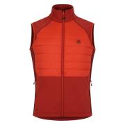 Dare2b Heren aflopend gilet