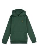 Lyle and Scott Casual sweater jongens