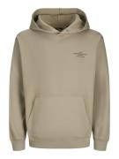 Jack & Jones Jprblachad branding sweat hood sn