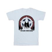 Marvel Avengers Heren the falcon en the winter soldier ster silhouette...