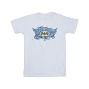 DC Comics Heren batman graffiti logo t-shirt