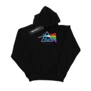 Pink Floyd Heren neon darkside hoodie