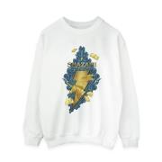 DC Comics Dames shazam fury of the gods golden animal bolt sweatshirt