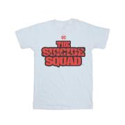 DC Comics Dames the suicide squad movie logo boyfriend t-shirt