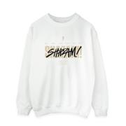 DC Comics Heren shazam fury of the gods vandalised logo sweatshirt