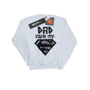 DC Comics Heren superman super pap sweatshirt