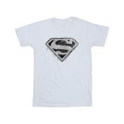 DC Comics Heren superman logo schets t-shirt