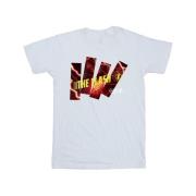 DC Comics Heren the flash pillars t-shirt