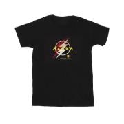 DC Comics Heren the flash lightning logo t-shirt