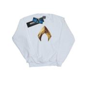 DC Comics Heren aquaman embleem sweatshirt