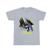 DC Comics Heren batman vliegend batman t-shirt