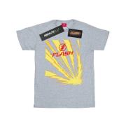 DC Comics Heren the flash bliksemschichten t-shirt