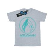 DC Comics Dames aquaman aqua logo boyfriend t-shirt