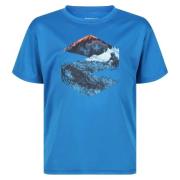 Regatta Kinderen/kinderen alvarado vi berg t-shirt