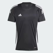 Adidas tiro24 jsy voetbal shirt (cat) km heren -