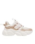 Steve Madden Spectator sneaker