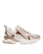 Steve Madden Speedster-e sneaker