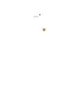 Lyle and Scott martin tee -