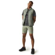 Regatta Heren hillpack ii gilet
