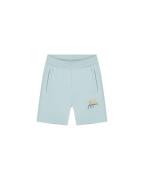 Malelions Zomer short jongens sky split
