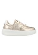 Gabor Sneakers 66.485.82