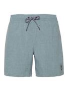 Protest davey beachshort zwemshort heren -