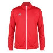 Adidas Heren entrada 22 track jacket