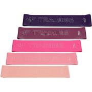 4F H4l22 aks008 weerstandsband (set van 5)