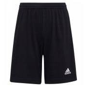 Adidas Kinderen/kinderen entrada 22 korte broek