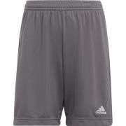 Adidas Kinderen/kinderen entrada 22 korte broek
