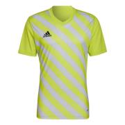 Adidas Heren entrada 22 grafische trui