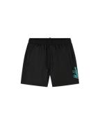 Malelions Sport counter swim shorts black/turquois ms2-ss25-07-924