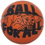 Nike Speeltuin buiten 100 431 811 06 basketbal