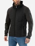 Falcon Stedman black-olive stedman b044