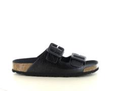 Verbenas Randell