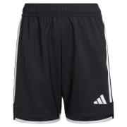 Adidas Tiro 23 wedstrijdshort voor kinderen/kinderen