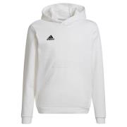 Adidas Kinderen/kinderen entrada 22 hoodie