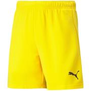Puma Teamrise shorts voor kinderen