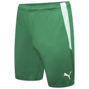 Puma Heren team liga korte broek