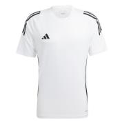 Adidas Heren tiro 24 t-shirt