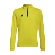 Adidas Kinder/kids entrada 22 trainings top