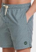 Shiwi 1525107650 geo tile 7534 green leaf swim short