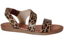 Casarini 25362 sandaal