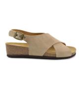 Scholl F31560 2361 amelie